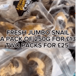 Fresh Jumbo Snail 250g a pack